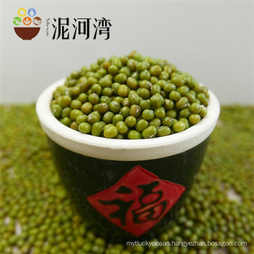 Green Mung Bean sprout and sale 2016 crop with high quality